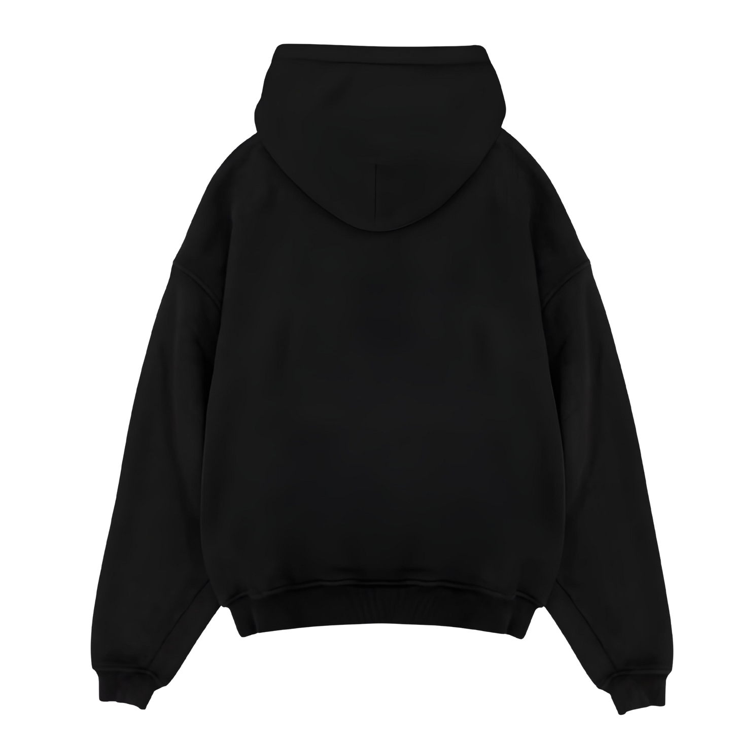 MONOCHROMATIC URBAN MEMOIR HOODIE